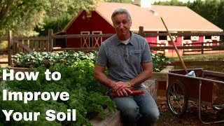 How to Improve Your Soil for Better Results in Any Lawn or Garden [upl. by Hays436]