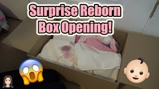 SURPRISE Reborn Baby Box Opening  Kelli Maple [upl. by Jadda]