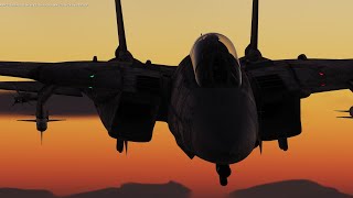 DCS World CAP F14B [upl. by Enneyehs]