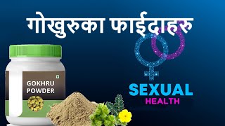 Benefits of Gokhru In Nepali [upl. by Dyl]