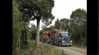 Trevor Masters Logging Trucks NZ TML Thames [upl. by Paloma725]