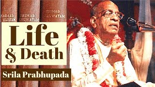 Life and Death  Srila Prabhupada [upl. by Manvell]