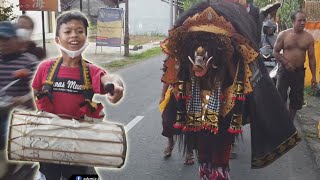 BARONG BANGKUNG CEMAGI NGELAWANG DI CANGGU [upl. by Ahilam]