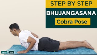 Bhujangasana Cobra Pose Benefits How to Do amp Contraindications by Yogi Sandeep  Siddhi Yoga [upl. by Shirline518]