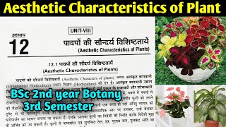 Aesthetic Characteristics of Plants in Hindi  BSc 2nd year Botany 3rd Semester [upl. by Hadihsar60]