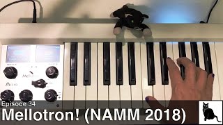 NAMM 2018 Mellotron [upl. by Laamaj]