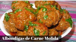 COMO HACER ALBONDIGAS DE CARNE MOLIDA PASO A PASO [upl. by Titos]