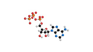 Functional Groups in Organic Chemistry The 7 Most Common Explained [upl. by Avid]