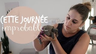 CETTE JOURNÉE IMPROBABLE ⎢VLOG [upl. by Nivek846]