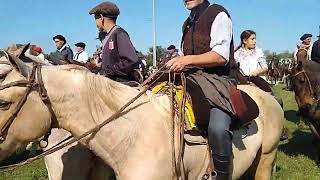 Cabalgando a quotLa Fiesta del Talar  2024quot desde la rotonda de Madariaga [upl. by Ecyned]