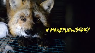 Exposing the Fur Industry [upl. by Moraj]