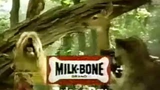 Milk Bone Dog Biscuits Makes Whiter Teeth And Fresher Breath 1980s TV Commercial HD [upl. by Ware]