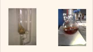 Extraction of Curcuminoids from turmeric [upl. by Lili]