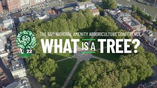 What is a tree The UKs biggest arboriculture conference September 2022 [upl. by Gayn]