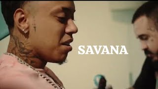 TETO SAVANA Web Clipe [upl. by Juni]