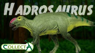 2023 Collecta Hadrosaurus Review [upl. by Harlie]