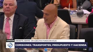 Por qué PRIVATIZAR AEROLINEAS Argentinas Martín Simonetta en Cámara de Diputados [upl. by Haberman]