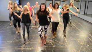 Fireball Line Dance Teach amp Demo DeAnna Lee Dance [upl. by Eive]