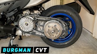 Suzuki Burgman 400  CVT Removal  Installation beltclutch  2017 and up  Mitchs Scooter Stuff [upl. by Francois]