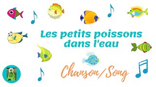 Les petits poissons dans leau  Song and lyrics  French Early Immersion with Nathalie Laroussi [upl. by Selassie]