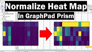 How To Normalize A Heat Map In GraphPad Prism [upl. by Prudy]