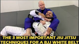 The 3 Most Important Jiu Jitsu Techniques For A BJJ White Belt by John Danaher [upl. by Larochelle]