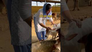 Chulha Chatni Roti  VillageLife  VillageFood  Chulha Cooking  Gaon ka swaad  Desi Food [upl. by Kirtley]