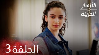 الأزهار الحزينة  الحلقة 3 كاملة  Kırgın Çiçekler [upl. by Aihsila]