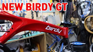 NEW BIRDY GT 세팅 [upl. by Adaha]