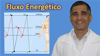 Fluxo energético dos meridianos [upl. by Aikin981]