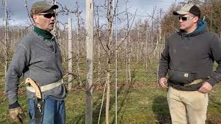 Apple Tree Pruning Workshop Part I Dwarf Honeycrisp and Gala [upl. by Ees]