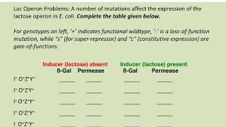 BIOL183 Solving Lac operon problems [upl. by Gabor]