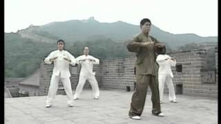 Qigong DA WU The great dance of qigong [upl. by Eilac]