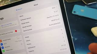 iPad Pro How to Find Serial NumberModel NameModel Number 2 Ways [upl. by Ahsilrae]