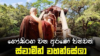 ගෝසිංග වන අරණේ පින්වත් ස්වාමීන් වහන්සේලා  venkebithigollewe amara thissa thero [upl. by Madian]