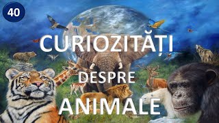 Top 40 curiozitati despre animalele lumii 🦋 stiati ca [upl. by Paget]