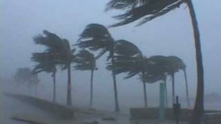 Hurricane Wilma Video  Miami Beach Florida [upl. by Arundell]