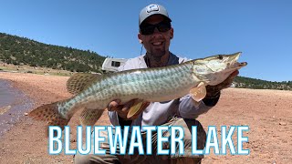 Tiger Muskie FishingBlueWater lake New Mexico [upl. by Annekcm]