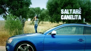 Canelita  Saltaré Video Oficial [upl. by Ahsienom]