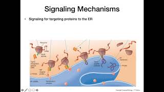 Posttranslational Modifications and Signaling Mechanisms [upl. by Aiahc986]