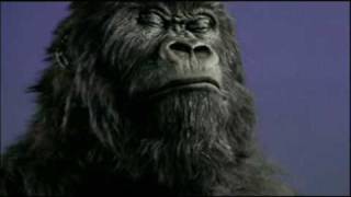 Cadbury Gorilla Youre the Voice John Farnham Australian Version Commercial [upl. by Leotie]