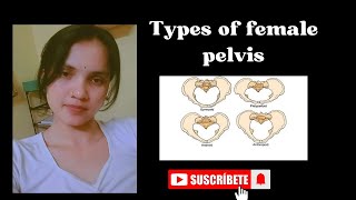 Types of female pelvis pelvis video youtubevideo youtube obg biology [upl. by Anaitit]