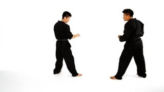 How to Do Closed Stance amp Open Stance  Taekwondo Training [upl. by Ogaitnas]