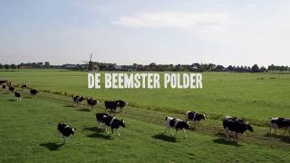 Beemster kaas Beemster polder [upl. by Iruyas611]