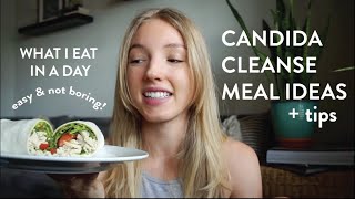 Candida Cleanse Meals  What I eat in a day  Candida Overgrowth [upl. by Assennev537]