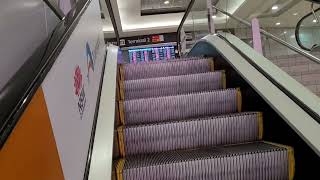 1 1997 Schindler Escalator at Domestic Airport Train station [upl. by Nosyrb]