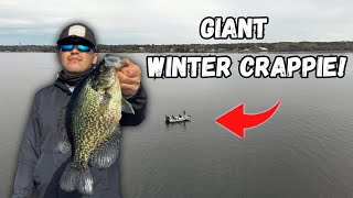 This Florida Lake is known to have GIANT CRAPPIE [upl. by Julietta502]