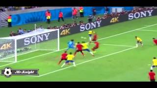 Guillermo Ochoa Saves VS Brazil World Cup 2014 [upl. by Jemima]