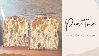 Part 1  How to make Sourdough Panettone at home [upl. by Urbannal]