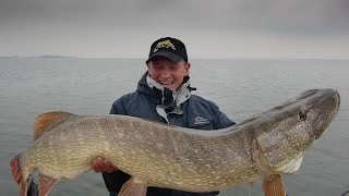 Record breaking Northern Pike Session StruikRovers [upl. by Ayatnwahs]